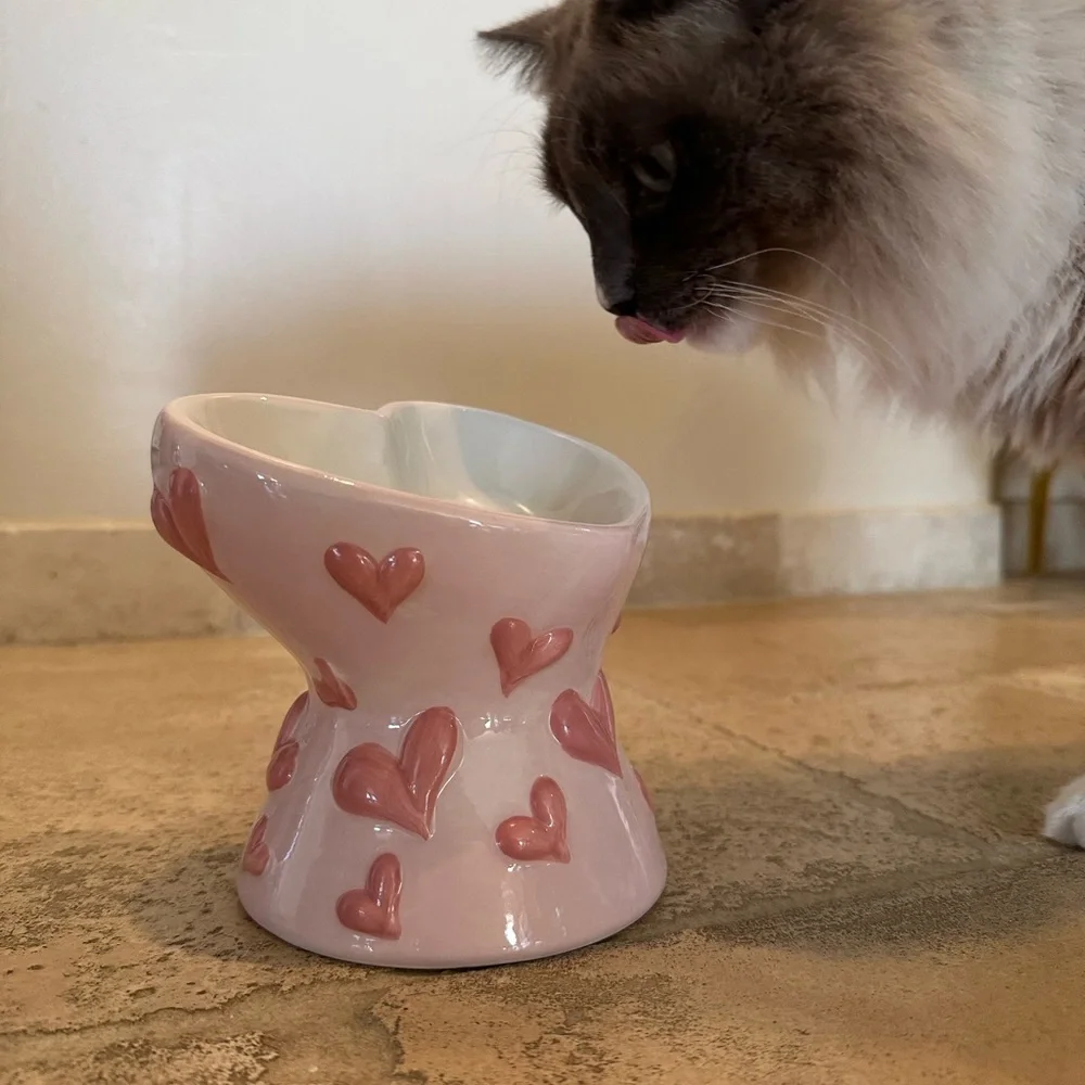 Elegant Pink Heart Cat Feeder